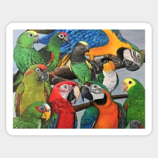 Macaws Sticker